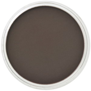 PanPastel PanPastel Pastelnap Raw Umber Extra Dark 9 ml