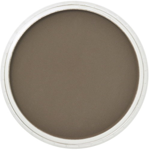 PanPastel PanPastel Pastelnap Raw Umber Shade 9 ml