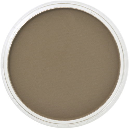 PanPastel PanPastel Pastelnap Raw Umber 9 ml