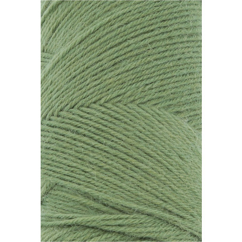 Lang Yarns Lang Yarns Jawoll 50 gram fern nr 198