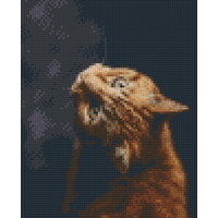 Pixelhobby Patroon 5600 Red Devil