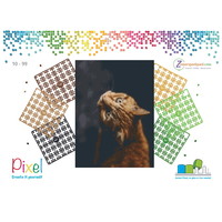 Pixelhobby Geschenkverpakking 5635 Red Devil