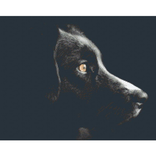 PixelHobby Pixelhobby patroon 5637 Black Beauty in geschenkverpakking PixelHobby Pixelhobby patroon 5637 Black Beauty in geschenkverpakking