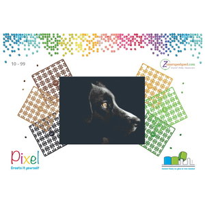 PixelHobby Pixelhobby patroon 5637 Black Beauty