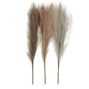 Creotime Pampa gras warme kleuren 50 cm 3 stuks