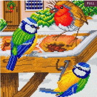 Diamond Painting Vogeltjes in de Winter 30  x 30 cm