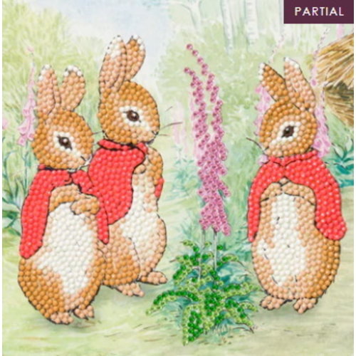 Crystal Art Diamond Painting Kaart Peter Rabbit The Flopsy Bunnies