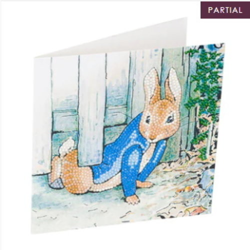 Crystal Art Diamond Painting Kaart Peter Rabbit under the Gate