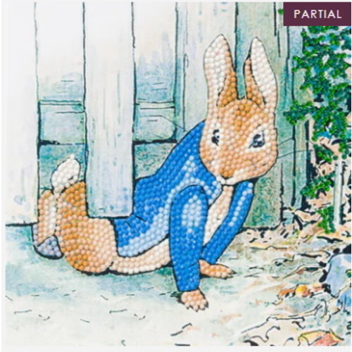 Crystal Art Diamond Painting Kaart Peter Rabbit under the Gate