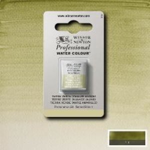 Winsor & Newton Winsor & Newton Professionele Aquarelverf Halve Nap Terre Verte