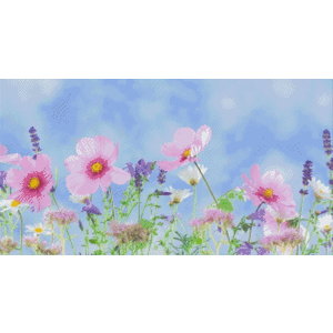 PixelHobby Pixelhobby patroon 5669 Lentebloemen