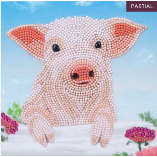 Crystal Art Diamond Painting Kaart Schattig Biggetje A100