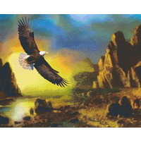 Pixelhobby patroon 5678 Flying Eagle