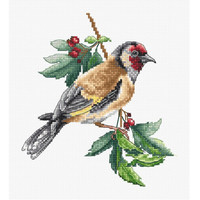 Luca S Borduurpakket Goldfinch Bird B1197