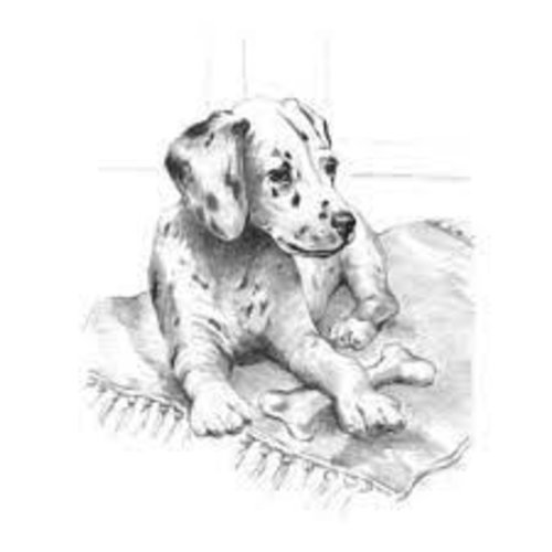 Schetsset Dalmatian Pup