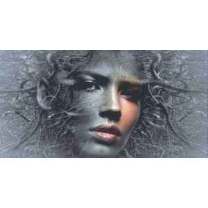 PixelHobby Pixelhobby Patroon 5681 Fantasy Face