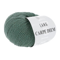 Lang Yarns Carpe Diem 0093 Grijs Groen