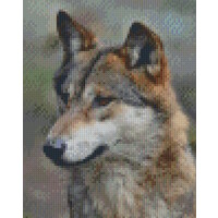 Pixelhobby Patroon 5700 Wolf