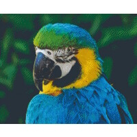 Pixelhobby Patroon 5708 Papegaai