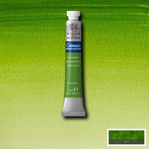Winsor & Newton Cotman Aquarelverf 8 ml Sap Green 599