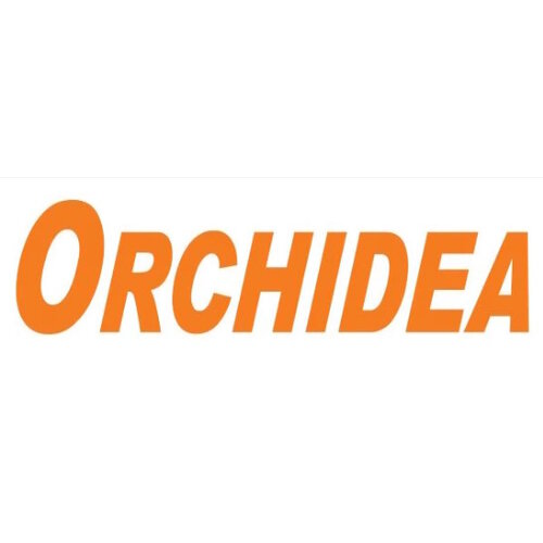Orchidea