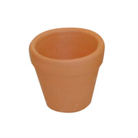 Kleine Terracotta bloempotjes 10 stuks