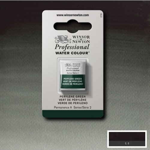 Winsor & Newton Winsor & Newton Aquarelverf Halve Nap Perylene Green