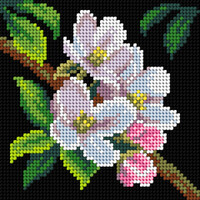 Voorbedrukt Stramien Witte Bloemen zonder Garen 15 x 15 cm