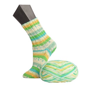 GGH Wolle ElbSox Elphi Sokkenwol 4 draads