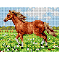 Voorbedrukt Stramien Paard in de Wei 18 x 24 cm zonder garen