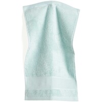 Rico Design Handdoek Mint 50 x 100 cm met aidaband