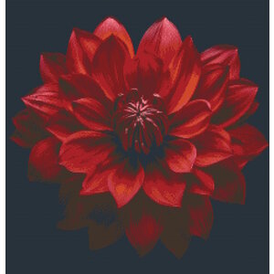 PixelHobby Pixelhobby Patroon 5789 Red Rose