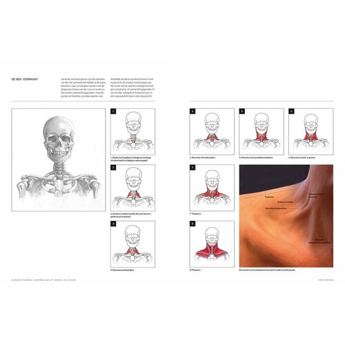 Klassiek tekenen Anatomie van het menselijk lichaam Klassiek tekenen Anatomie van het menselijk lichaam