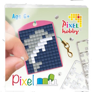 PixelHobby Pixelhobby Medaillon Startset Dolfijn