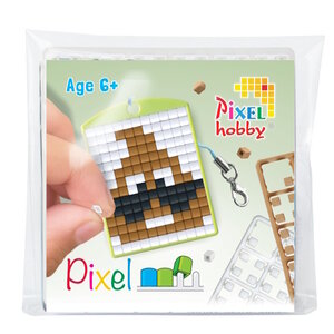 PixelHobby Pixelhobby Medaillon Startset Drol
