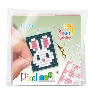 PixelHobby Pixelhobby Medaillon Startset Konijn