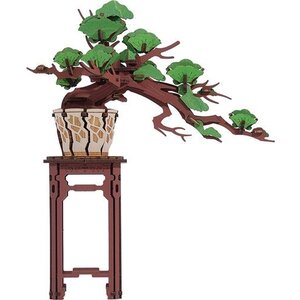 Robotime Robotime DIY 3D Houten Modelbouwpakket Evergreen Pine Bonsai TG510
