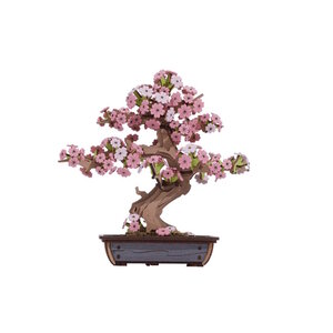 Robotime Robotime DIY 3D Houten Modelbouwpakket Sakura Bonsai TG415