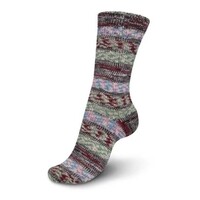 Regia On the Top Color 100 gram 4 draads Sokkenwol