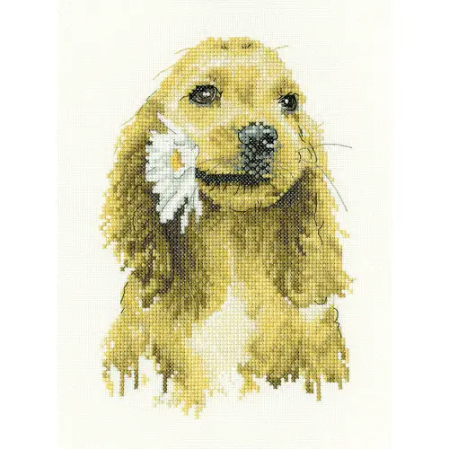 Heritage Crafts Heritage Crafts Borduurpakket Daisy Cocker Spaniel Heritage Crafts Heritage Crafts Borduurpakket Daisy Cocker Spaniel
