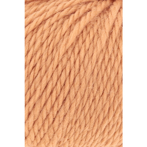 Lang Yarns Lang Yarns Carpe Diem 0359 Mandarijn