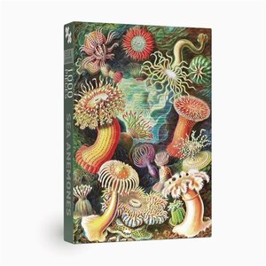Penny Puzzle Penny Puzzle Legpuzzel Sea Anemones 1000 stukjes