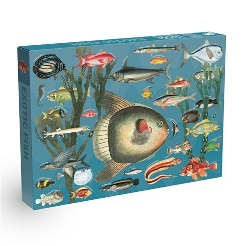 Penny Puzzle Penny Puzzle Legpuzzel Exotic Fish 1000 stukjes