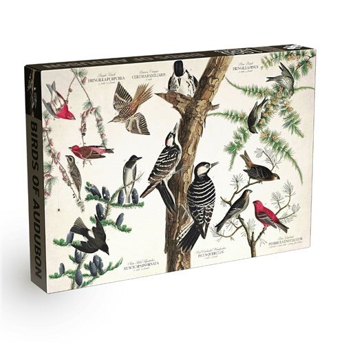 Penny Puzzle Penny Puzzle Legpuzzel Birds of Audubon 1000 stukjes Penny Puzzle Penny Puzzle Legpuzzel Birds of Audubon 1000 stukjes