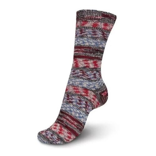 Regia Regia On the Top Color 100 gram 4 draads Sokkenwol