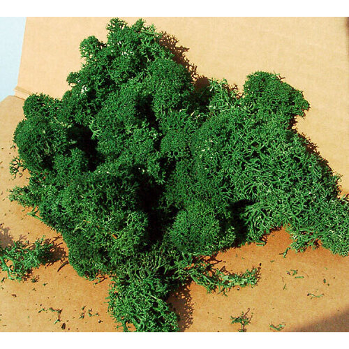 IJslands Mos donkergroen 30 gram IJslands Mos donkergroen 30 gram