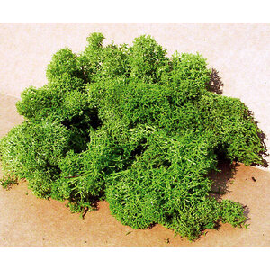 Heki IJslands Mos lichtgroen 30 gram
