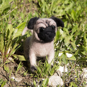 Viltpakket Pugdog