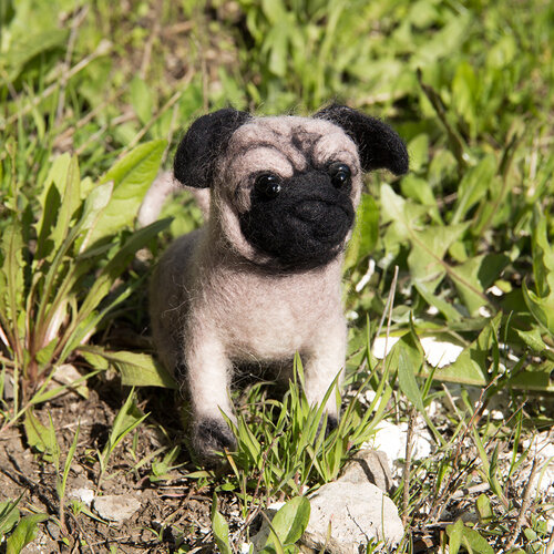 Viltpakket Pugdog Viltpakket Pugdog