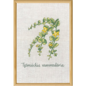 Permin Permin borduurpakket Lysimachia 70-1831